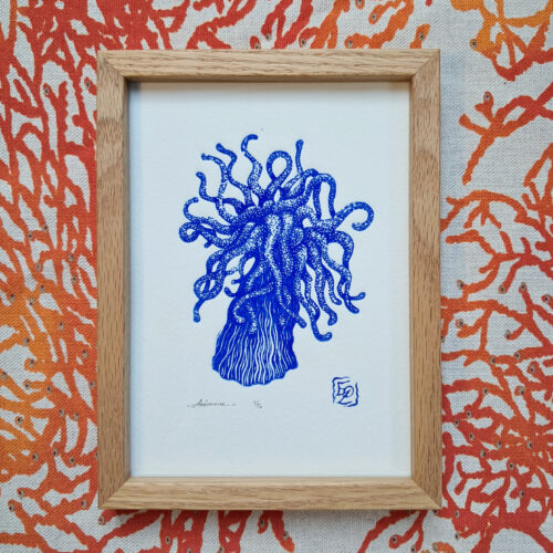 Anémone - 13x18 cm – Image 5