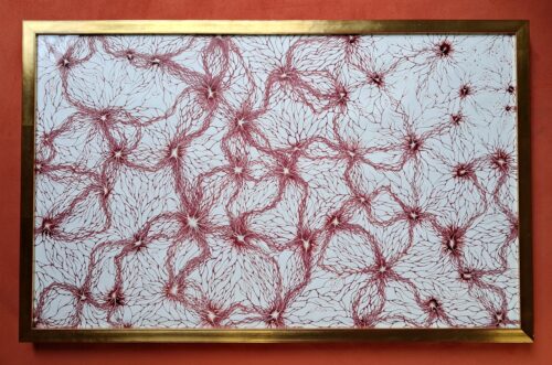 Synapses / Réseaux de neurones