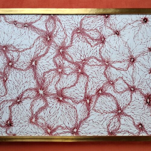1000015664 Synapses / Réseaux de neurones