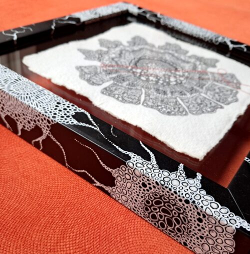 Cellule #3 – Image 4