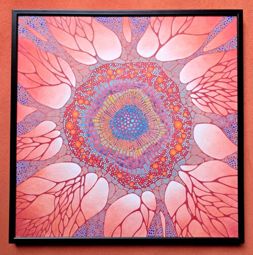 Cellule