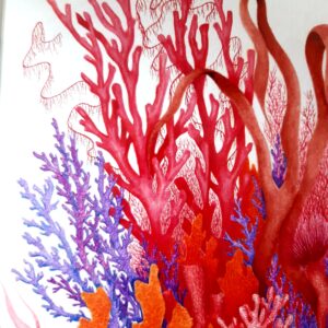 vagues en eruption