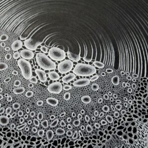 vagues en eruption