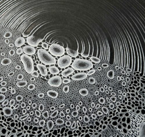 vagues en eruption