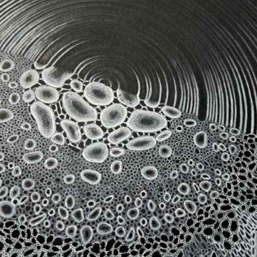 vagues en eruption