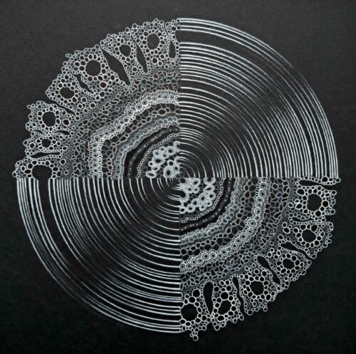 vagues en eruption