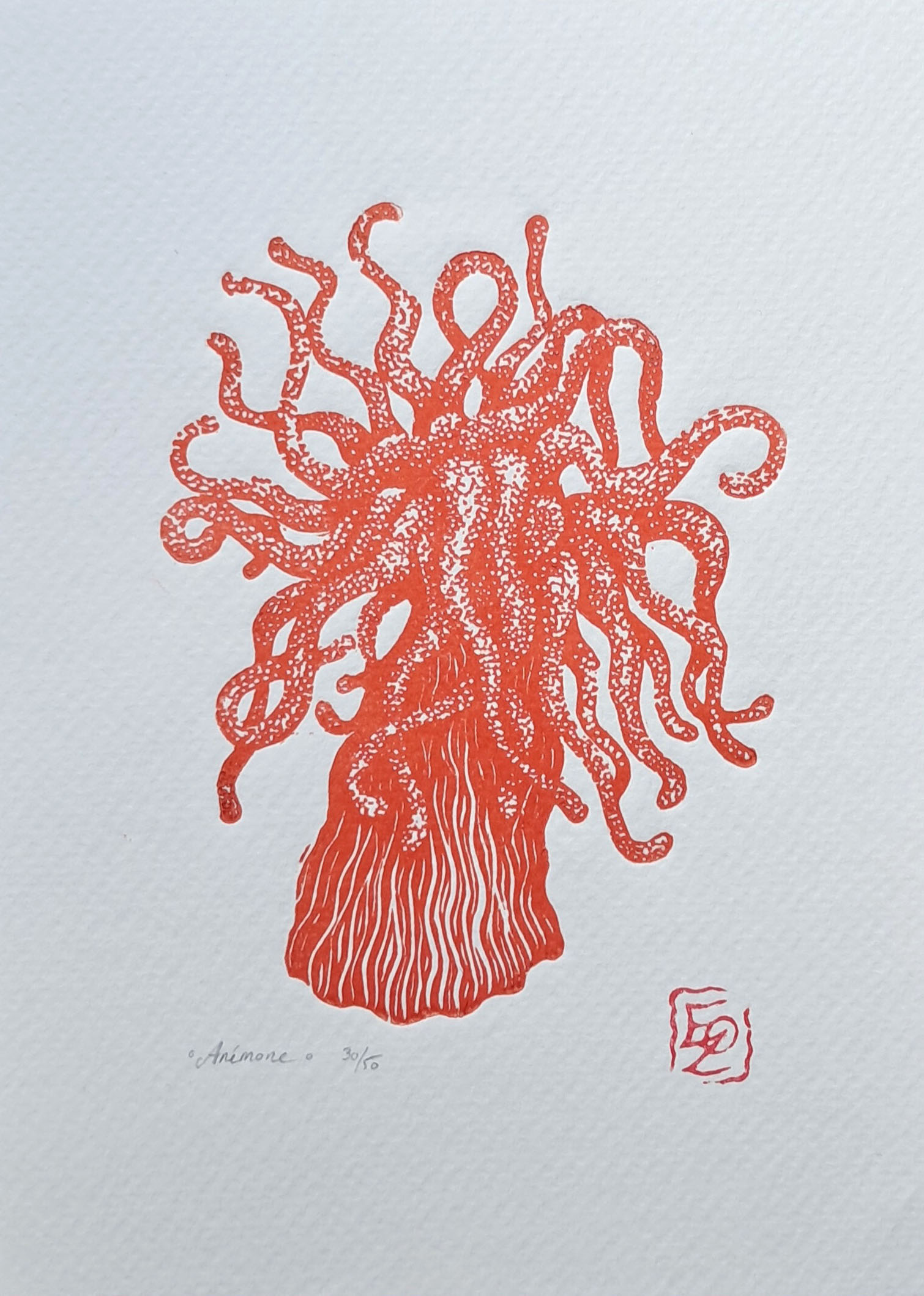 Anémone - 13x18 cm – Image 4