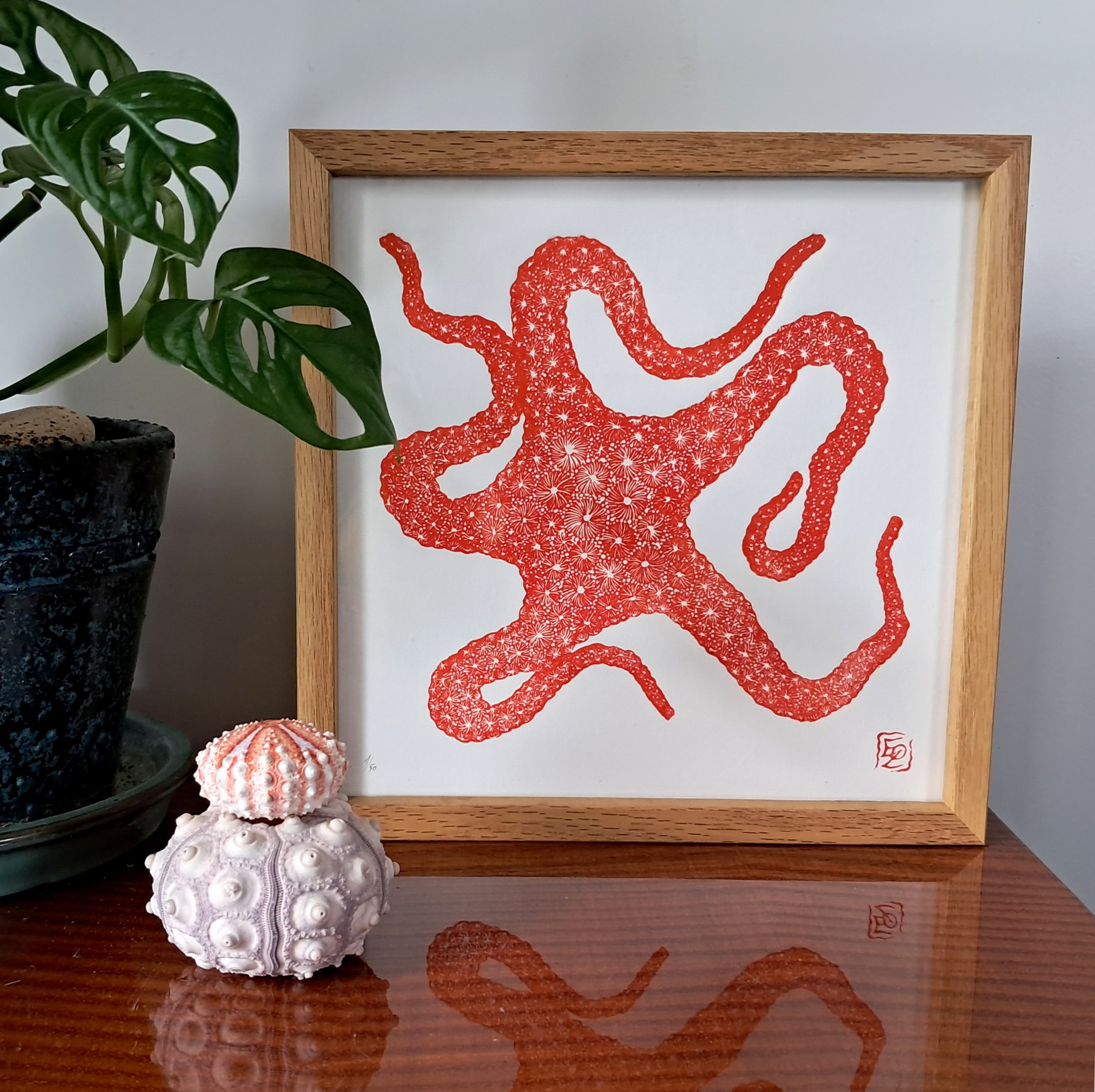 Etoile de mer - 20x20 cm – Image 6