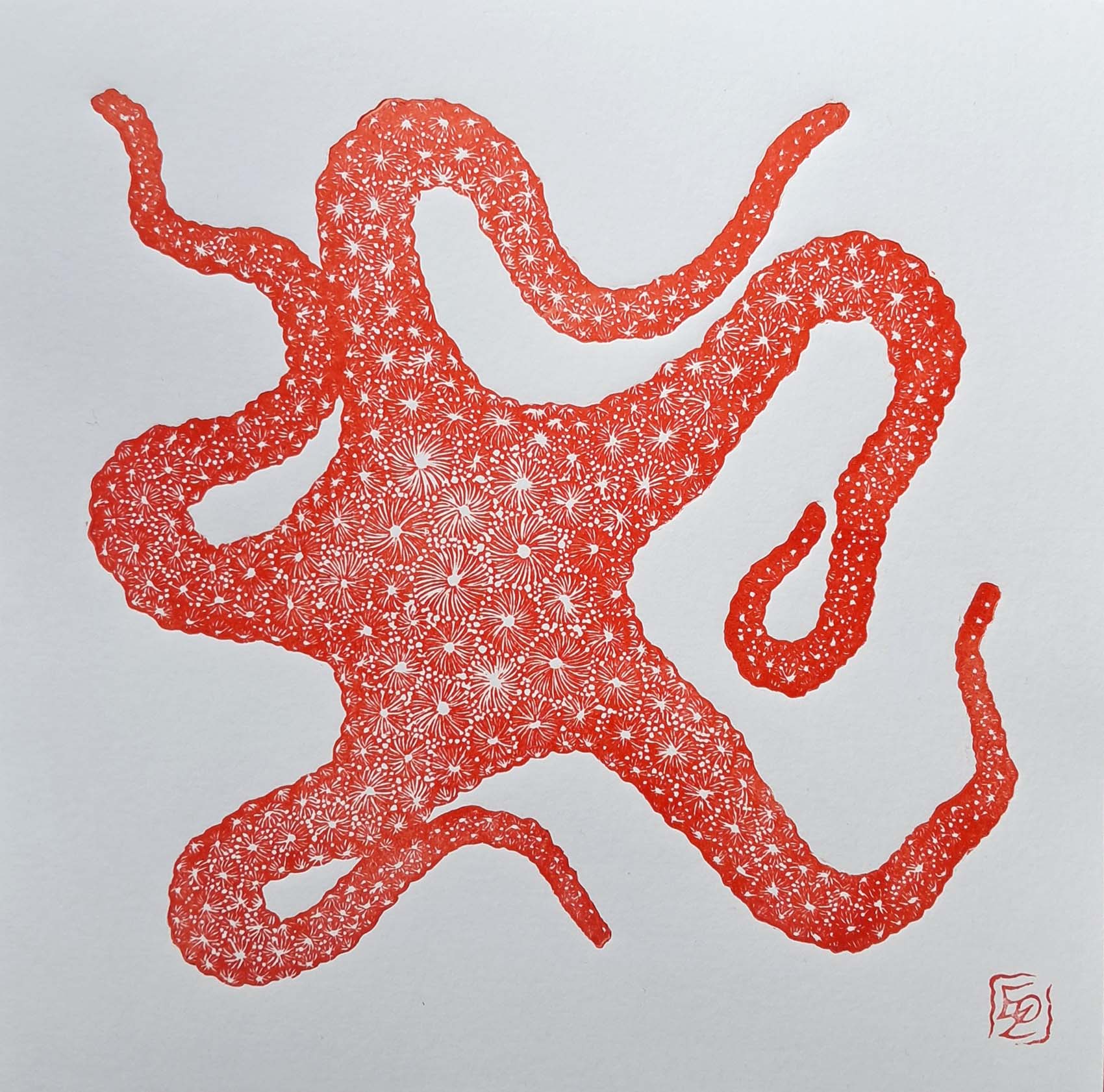 Etoile de mer - 20x20 cm – Image 3