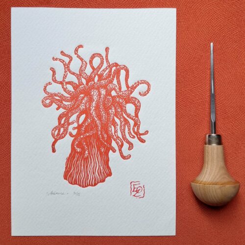 1000014861 Anémone - 13x18 cm