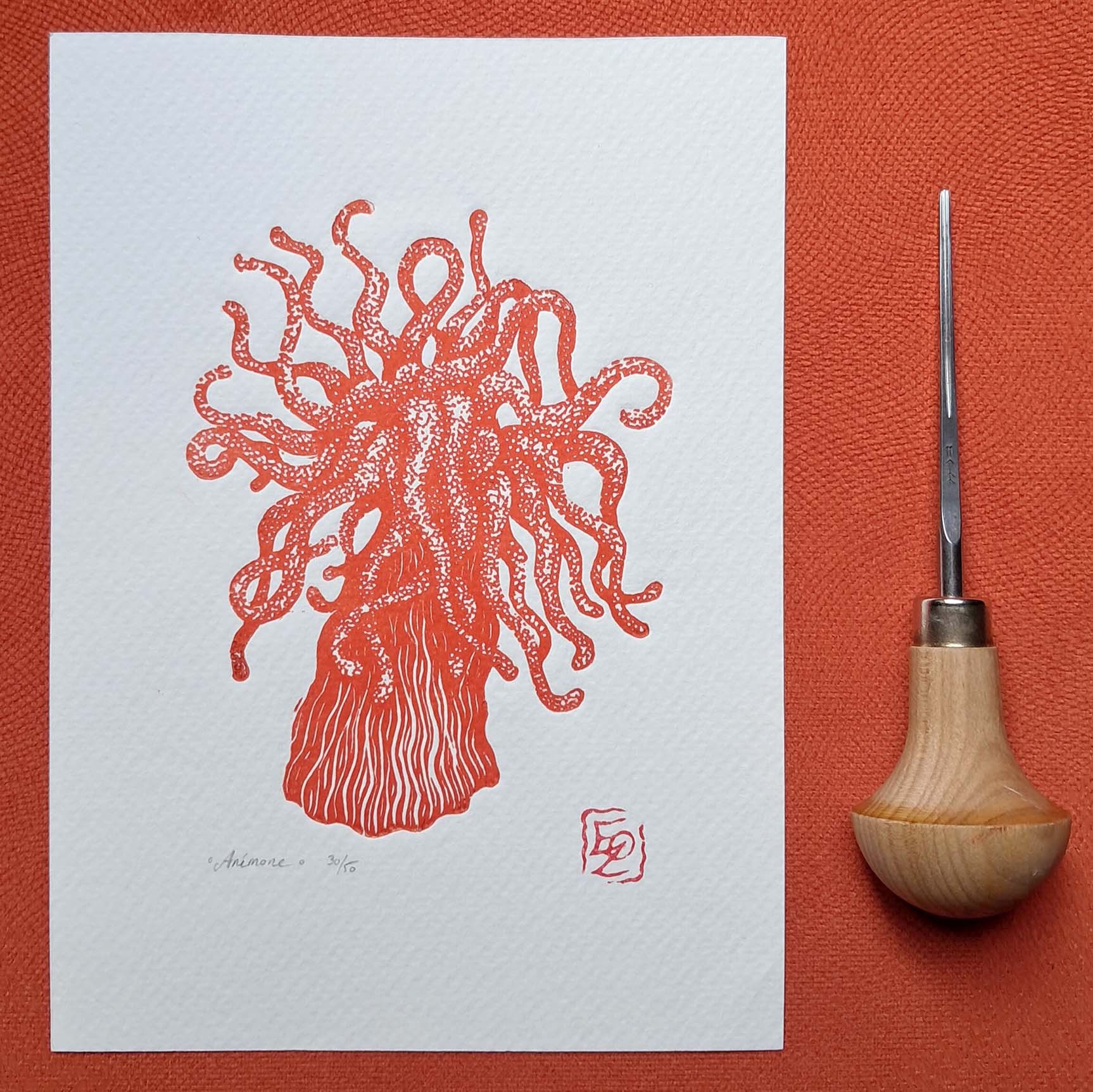 Anémone - 13x18 cm