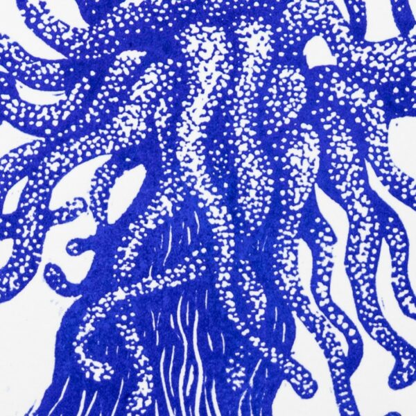 anemone bleu
