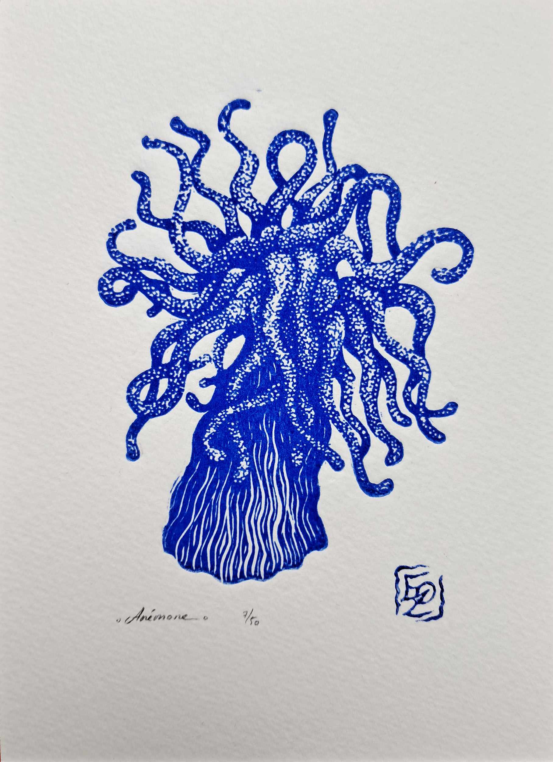 Anémone - 13x18 cm – Image 2