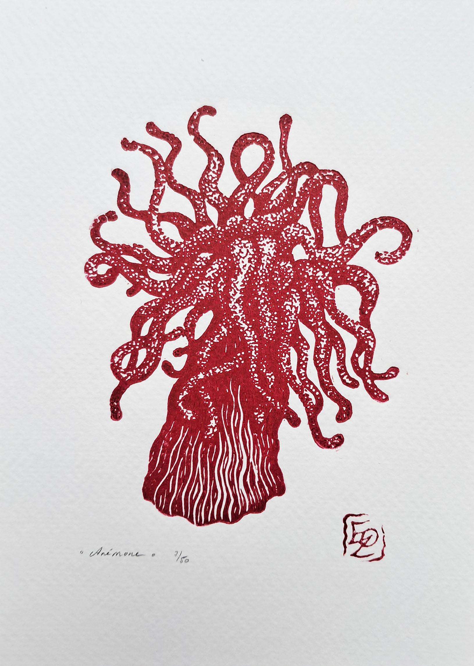 Anémone - 13x18 cm – Image 3