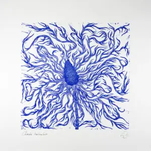 chardon bleu