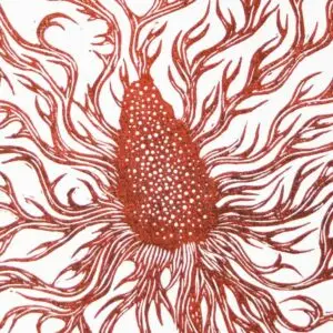 chardon rouge crop