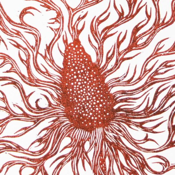 chardon rouge crop