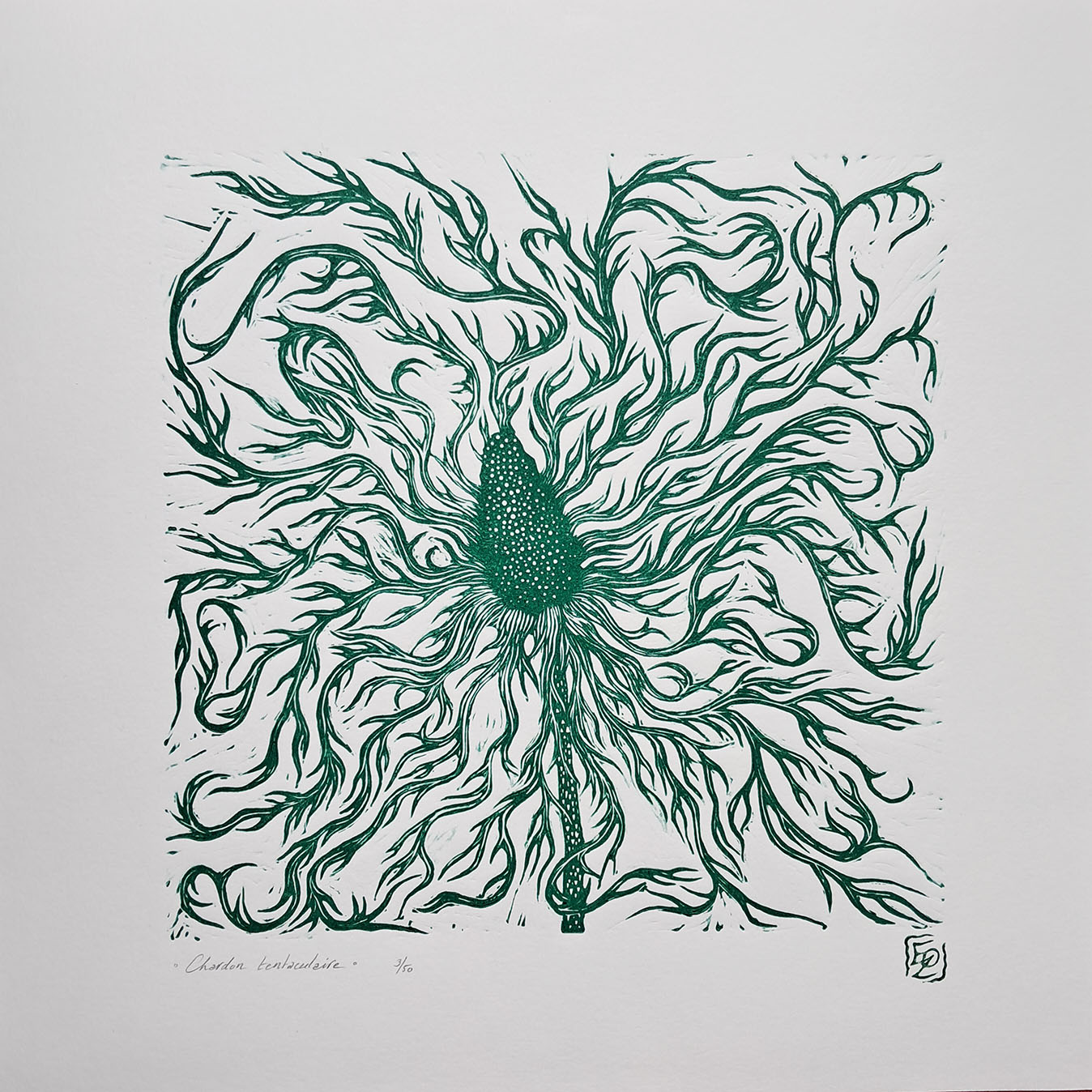 Chardon tentaculaire - 30x30 cm – Image 3