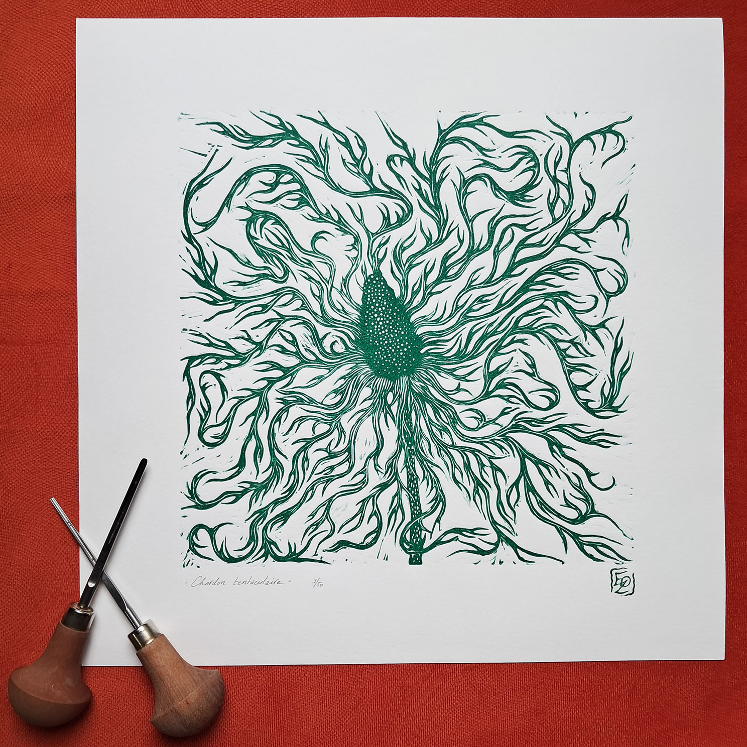 Chardon tentaculaire - 30x30 cm