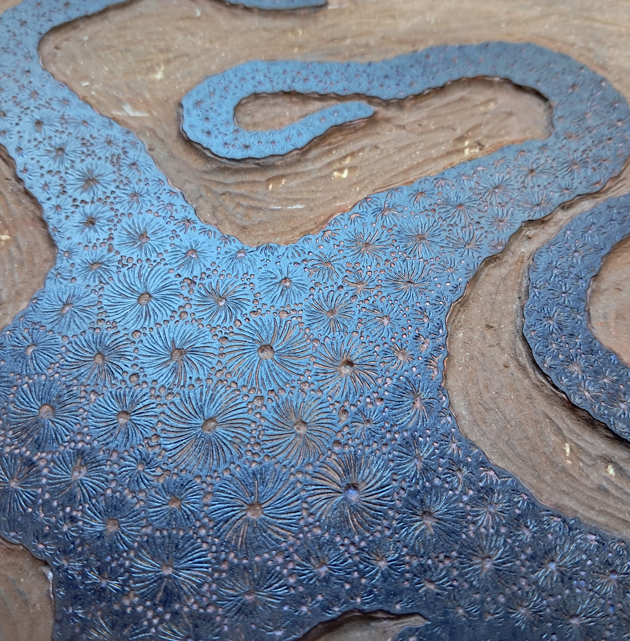 Etoile de mer - 20x20 cm – Image 7