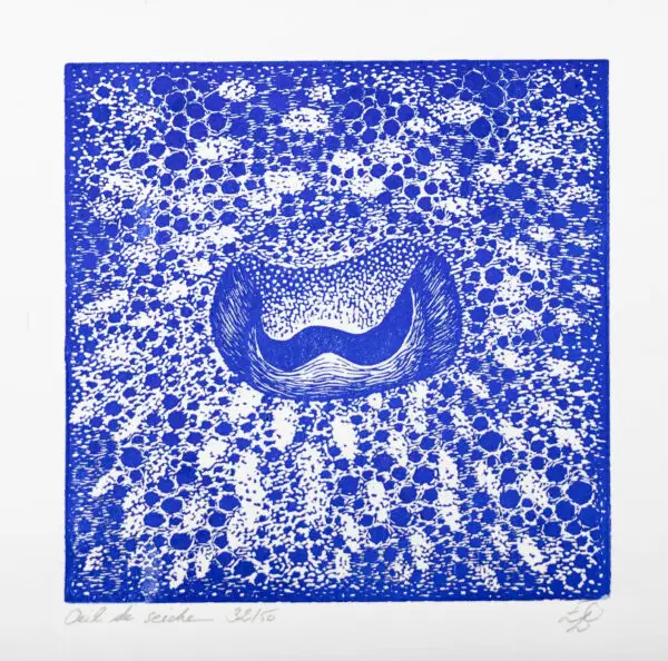 oeil seiche bleu