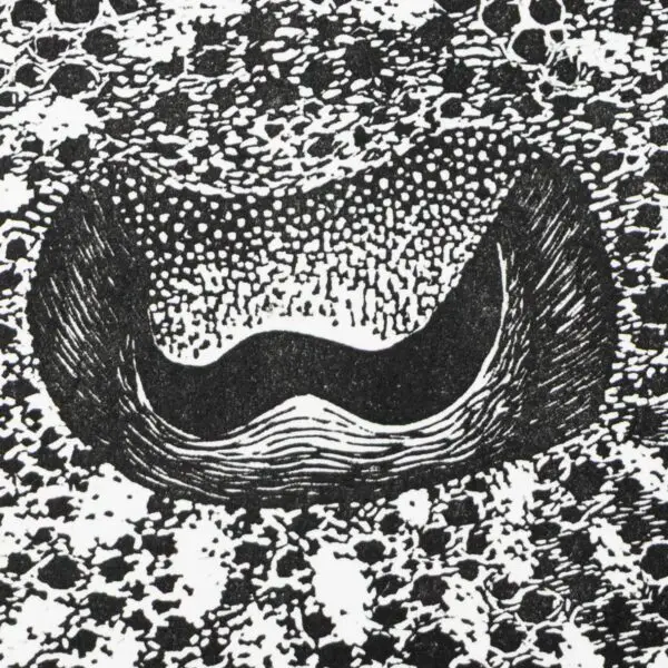 oeil seiche noir crop
