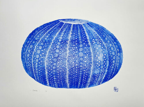 Oursin - 30x40 cm – Image 2
