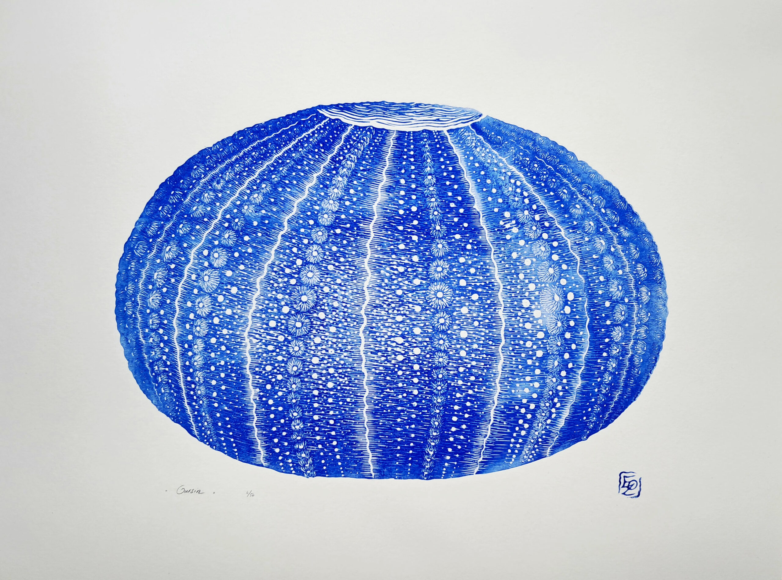 Oursin - 30x40 cm – Image 2