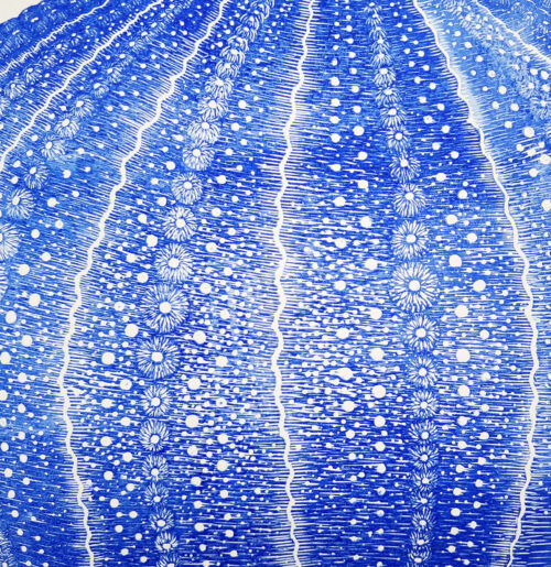 Oursin - 30x40 cm – Image 3