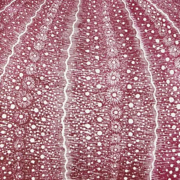 oursin rouge crop