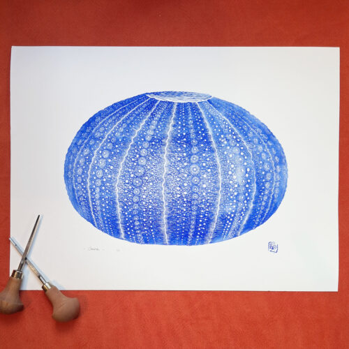 Oursin_home Oursin - 30x40 cm