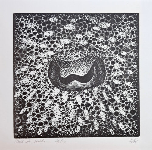 Oeil de seiche - 15x15 cm – Image 2