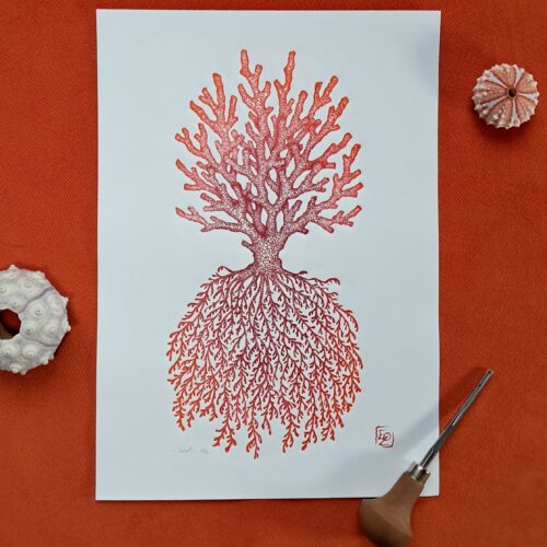 20260114_103957 Corail - 21x29,7 cm