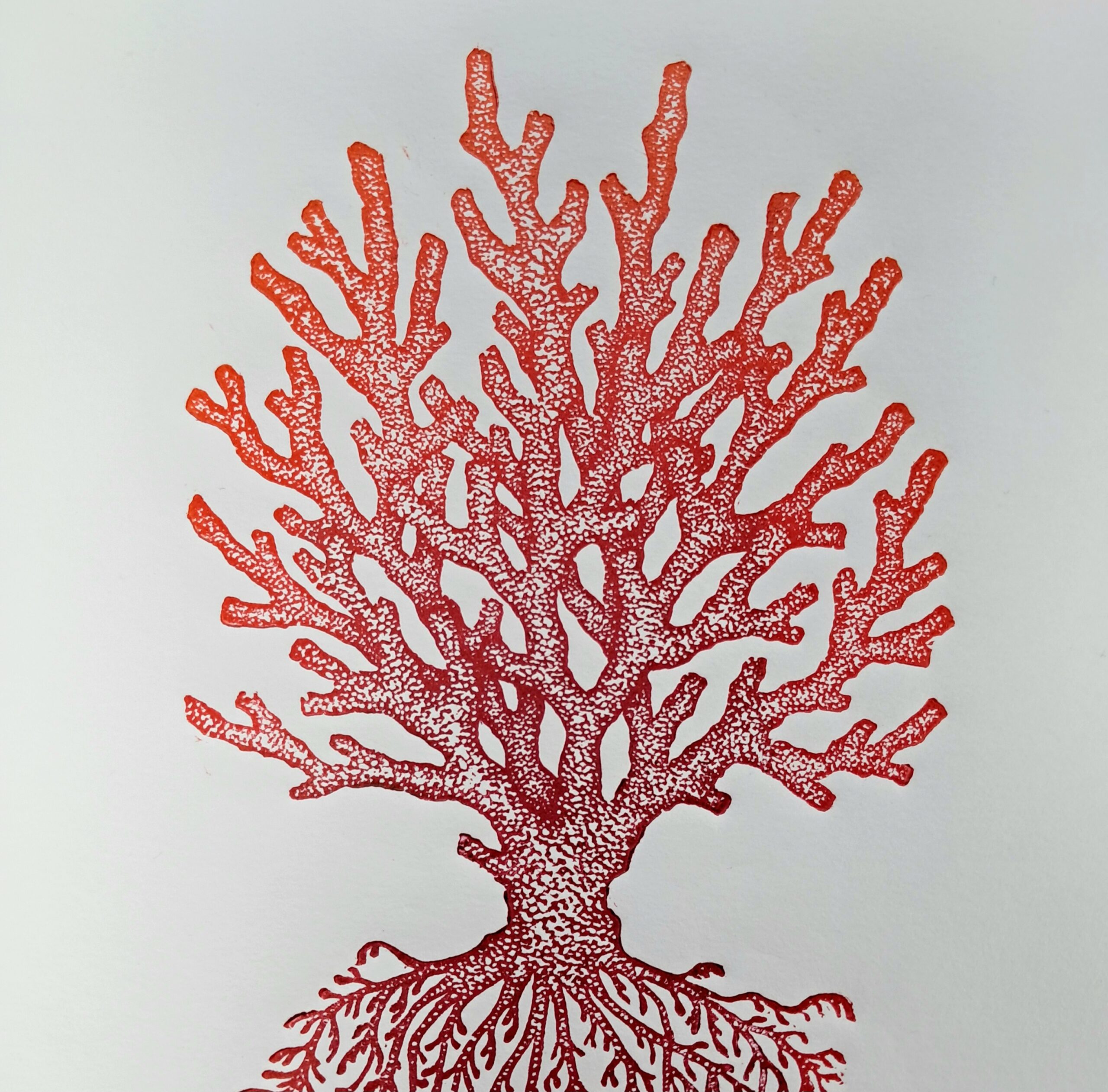 Corail - 21x29,7 cm – Image 6