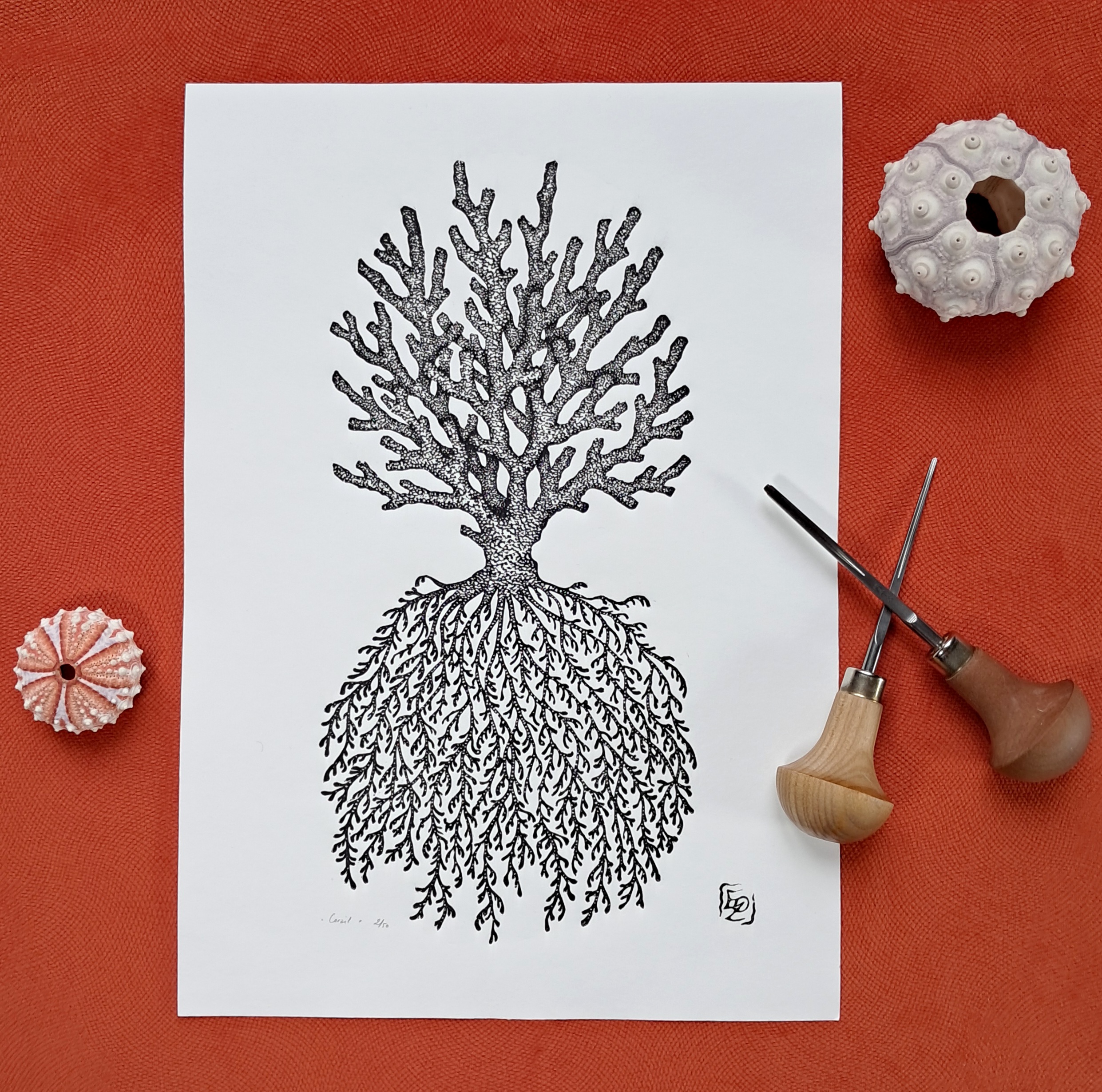 Corail - 21x29,7 cm – Image 4