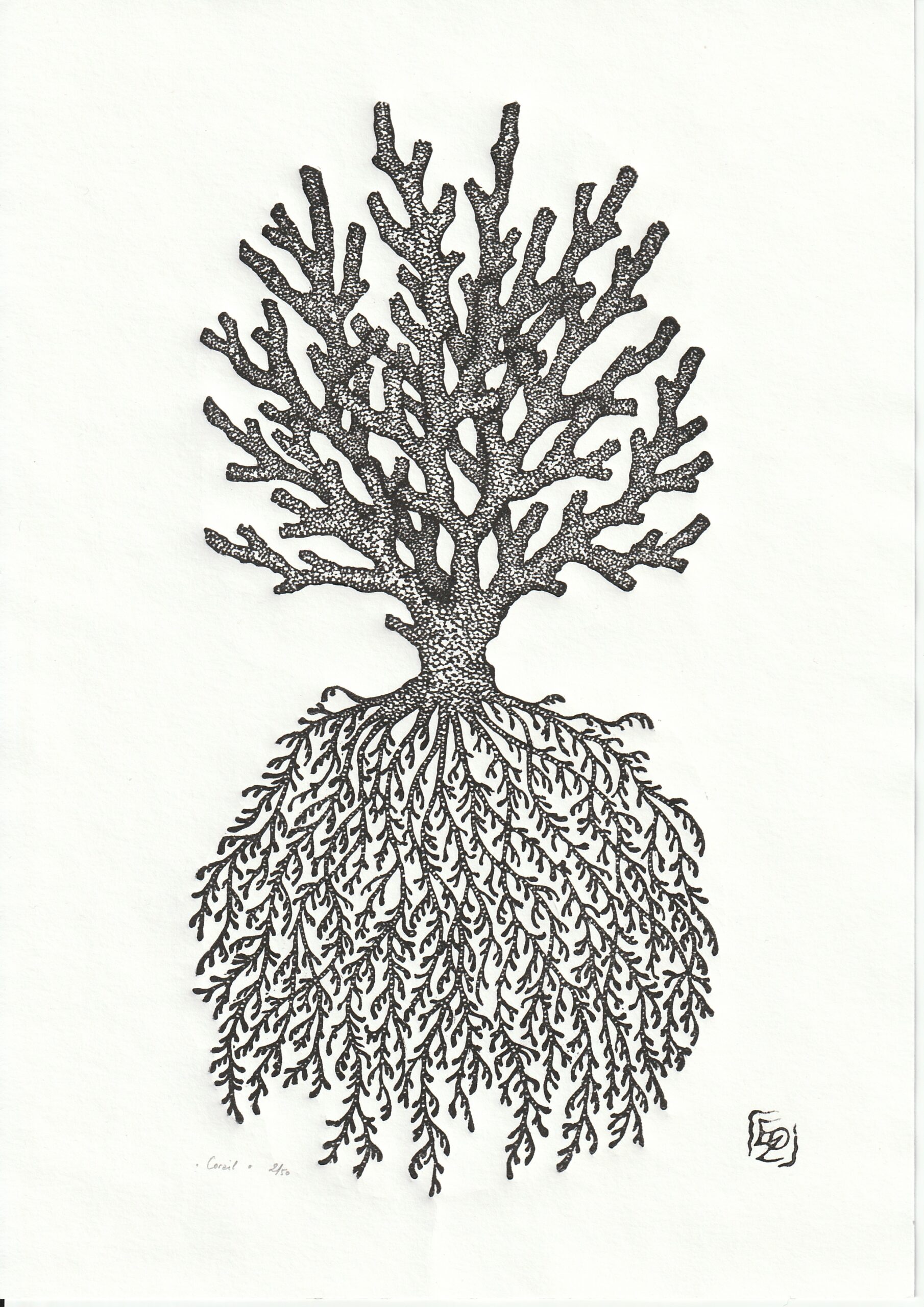 Corail - 21x29,7 cm – Image 2