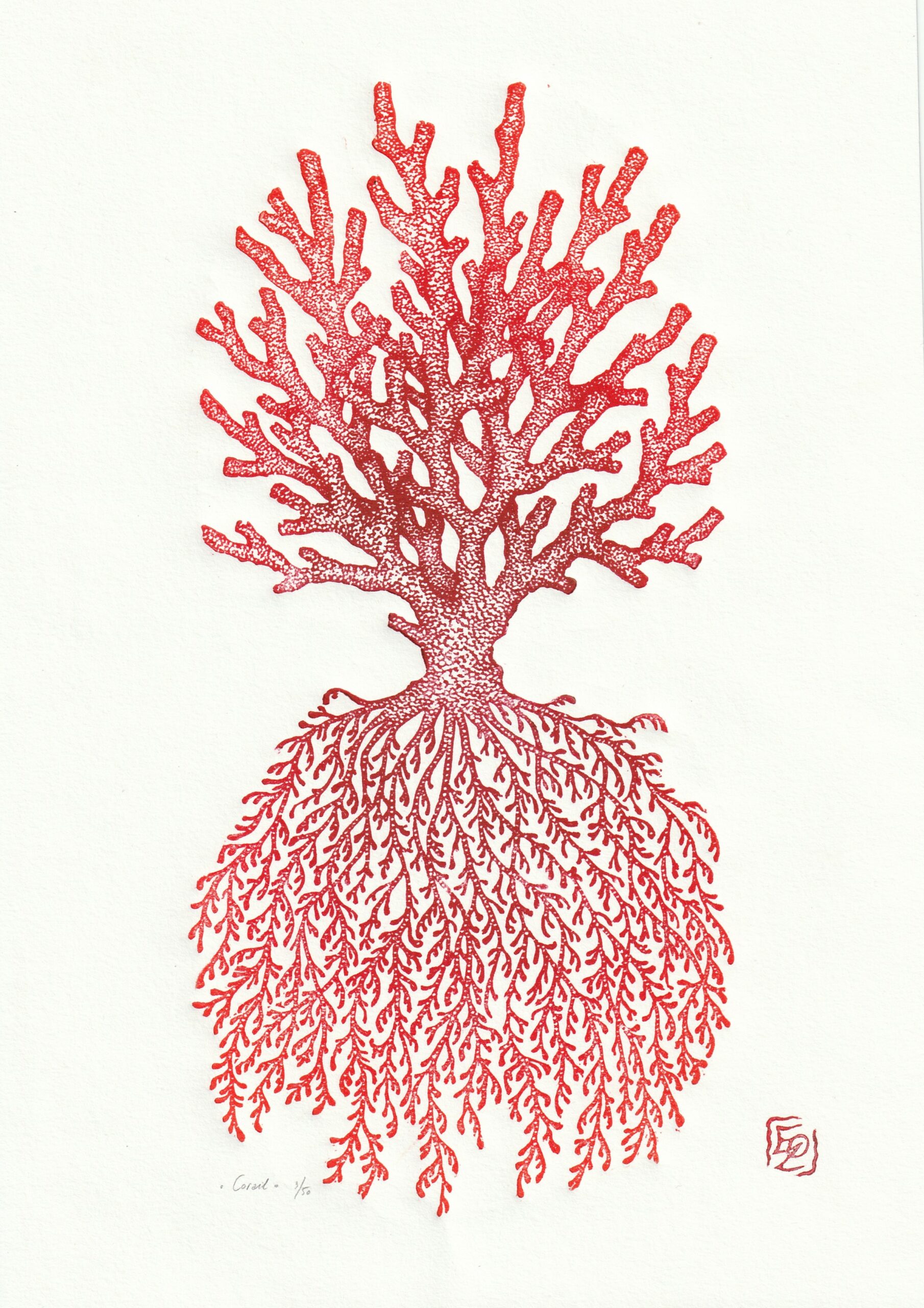 Corail - 21x29,7 cm – Image 3