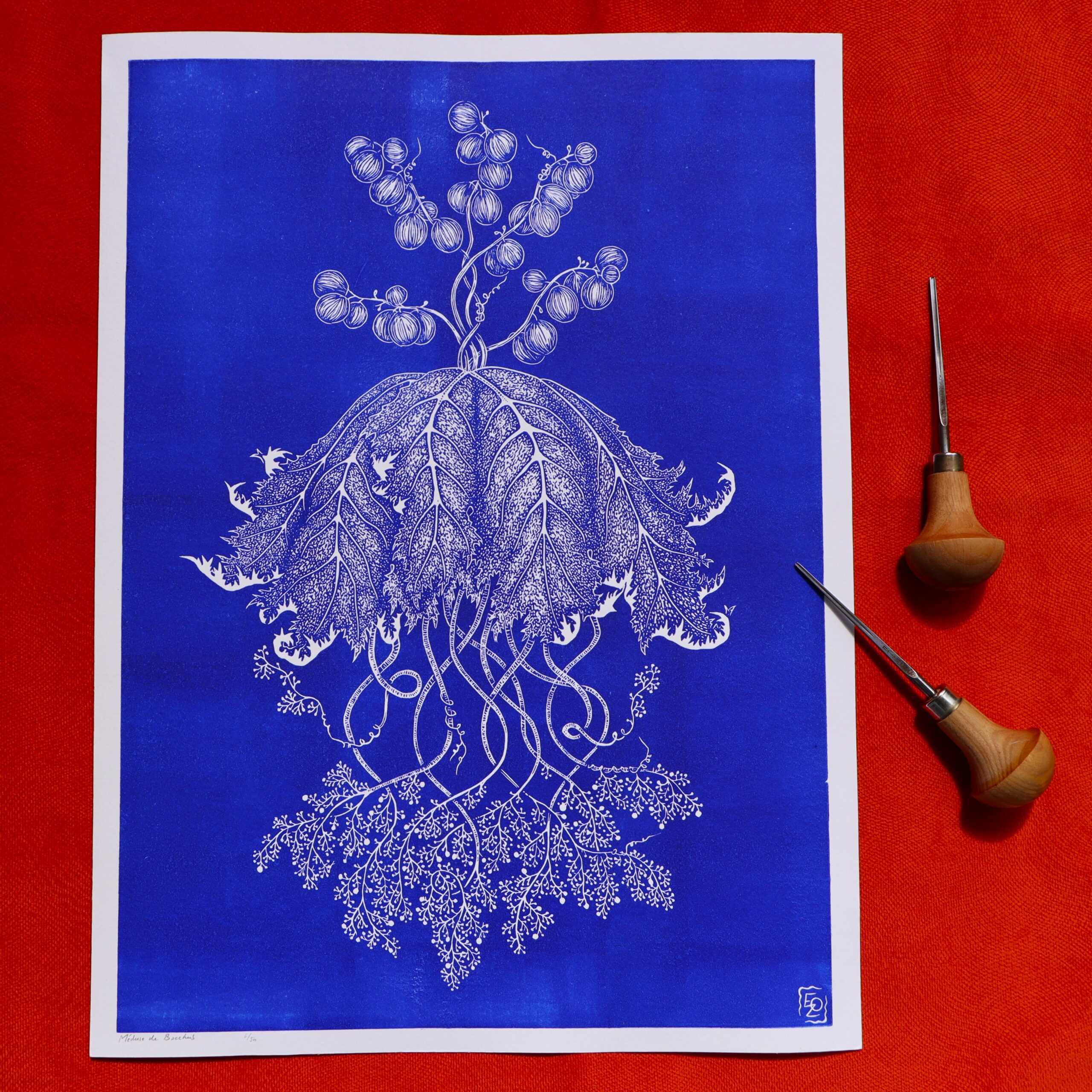 Méduse de Bacchus - 30x40 cm