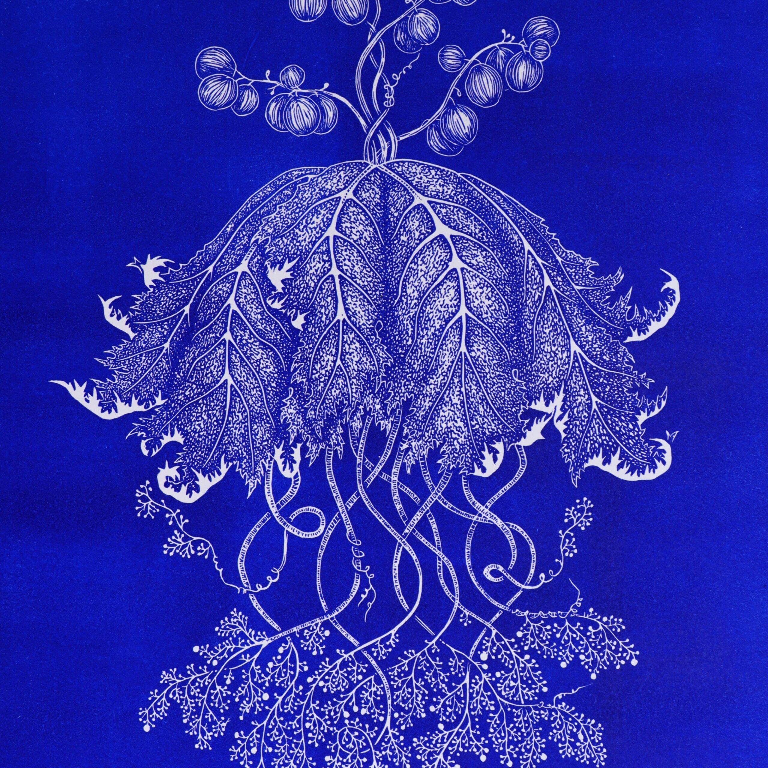 Méduse de Bacchus - 30x40 cm – Image 2