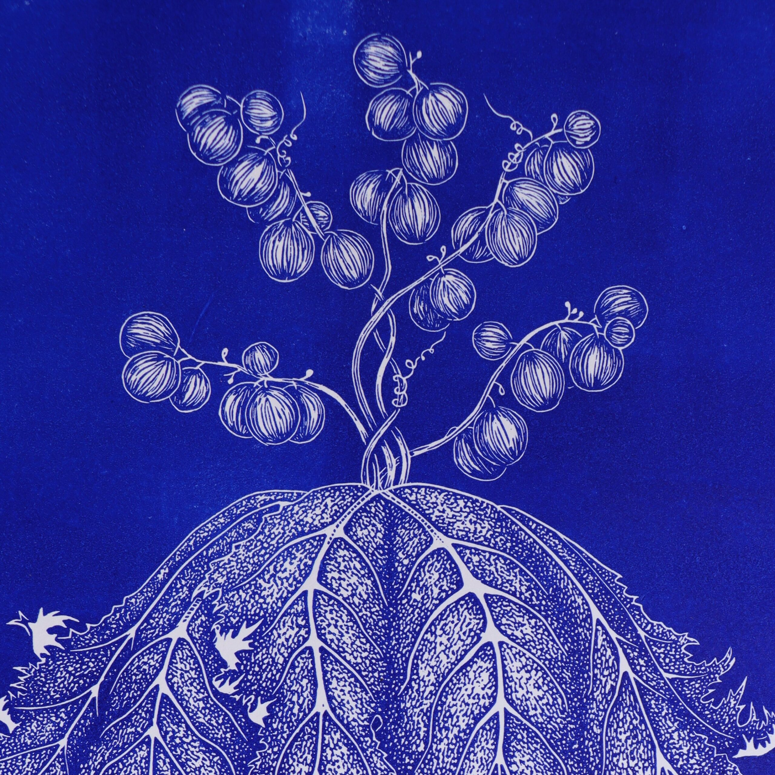 Méduse de Bacchus - 30x40 cm – Image 3